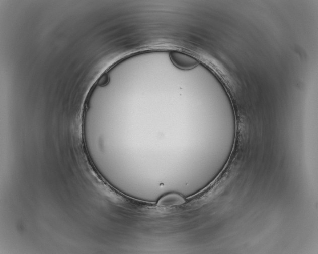 X0000111451236200907271224
