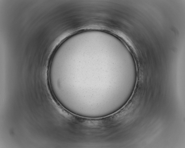 X0000111451237200907271224
