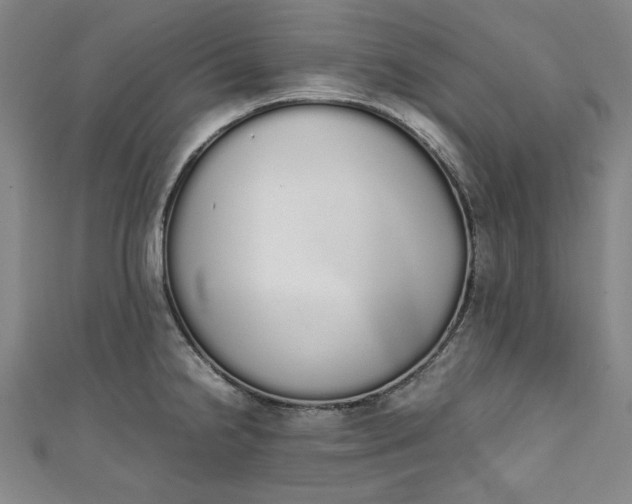 X0000111451238200907271224