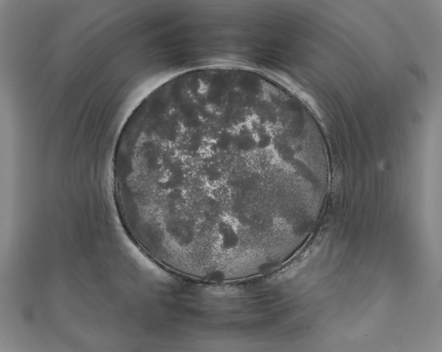 X0000111451239200907271224