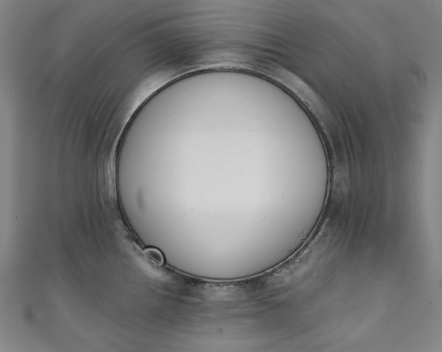 X0000111451242200907271224