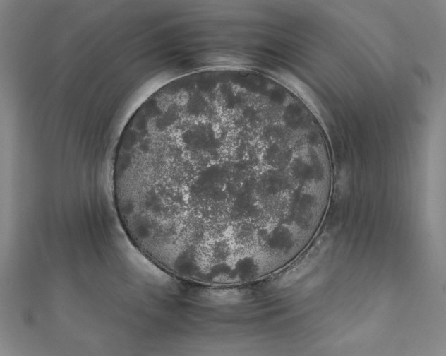 X0000111451243200907271224