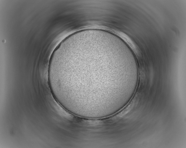 X0000111451244200907271224