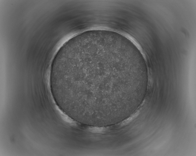 X0000111451245200907271224