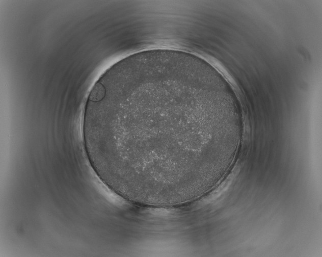X0000111451246200907271224