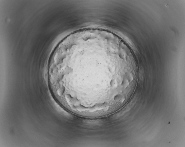 X0000111451247200907271224