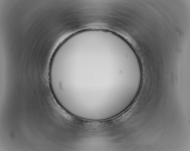 X0000111451248200907271224