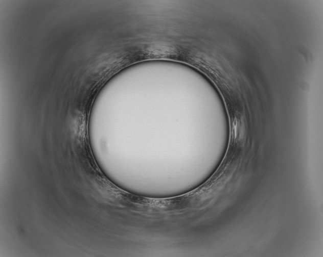 X0000111451251200907271223