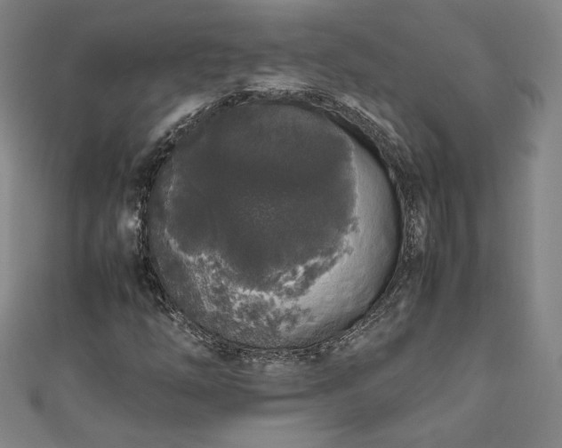 X0000111451254200907271223