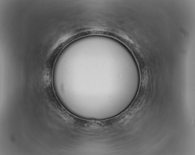 X0000111451255200907271223