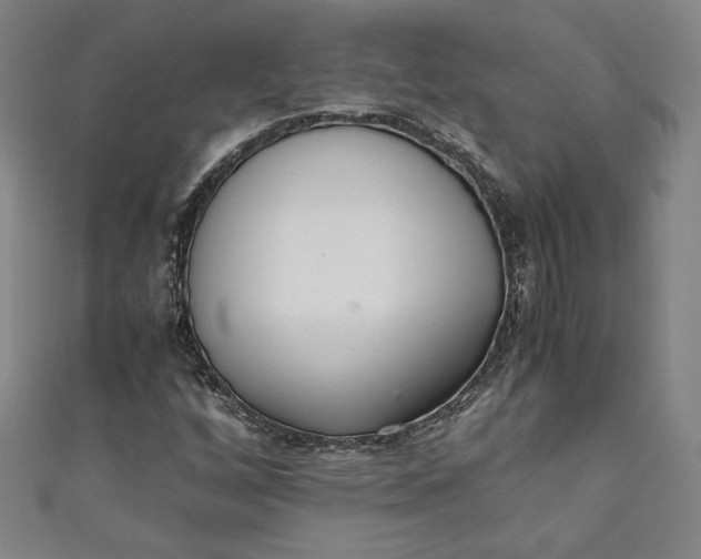 X0000111451256200907271223