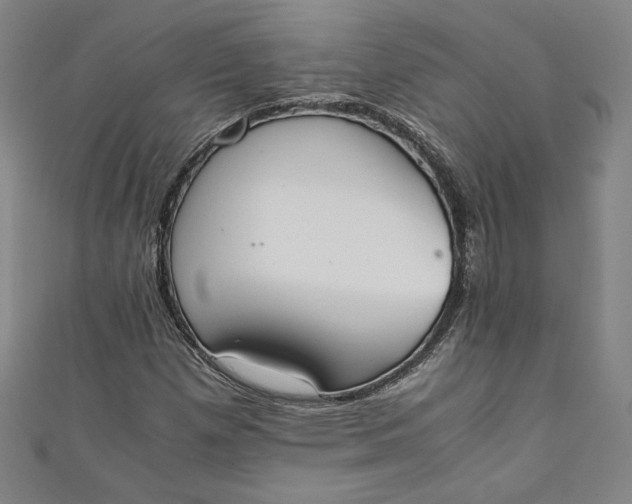 X0000111451257200907271223