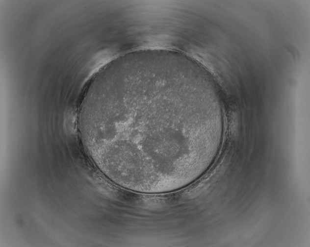 X0000111451258200907271223