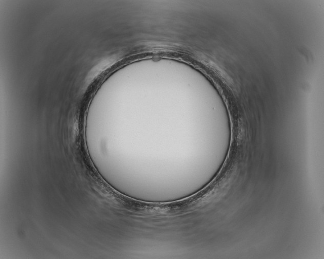 X0000111451261200907271223