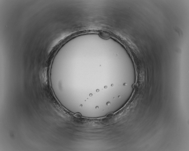 X0000111451262200907271223