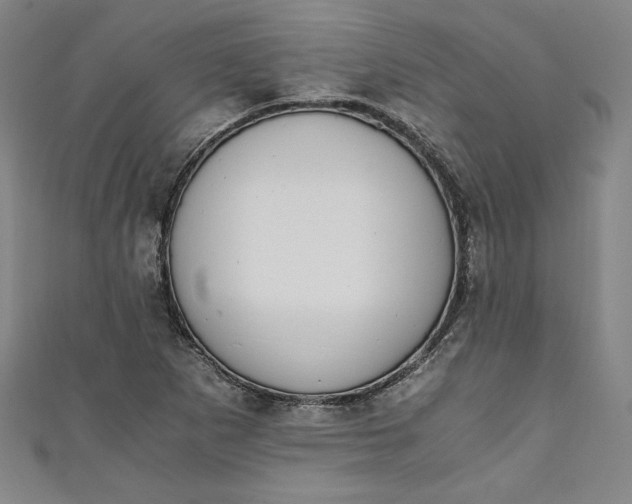X0000111451265200907271223