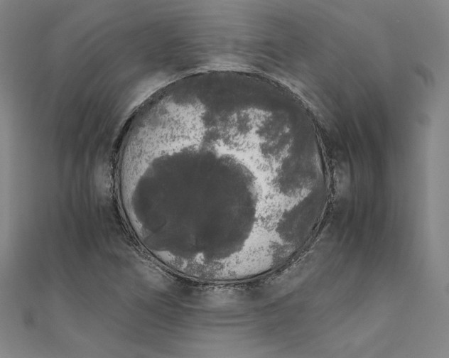 X0000111451266200907271223