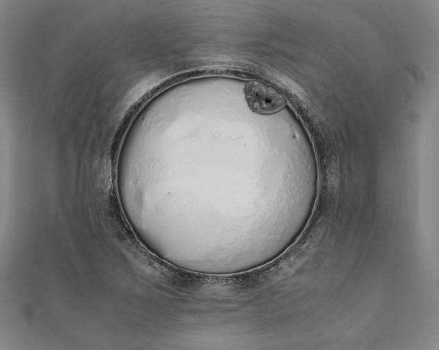 X0000111451267200907271223