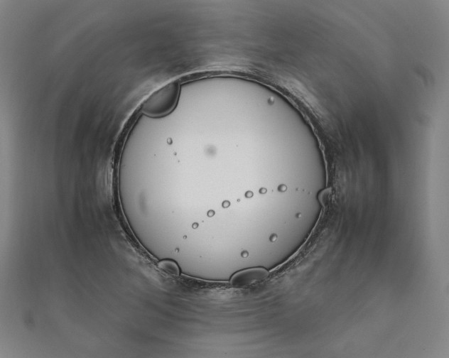 X0000111451268200907271223