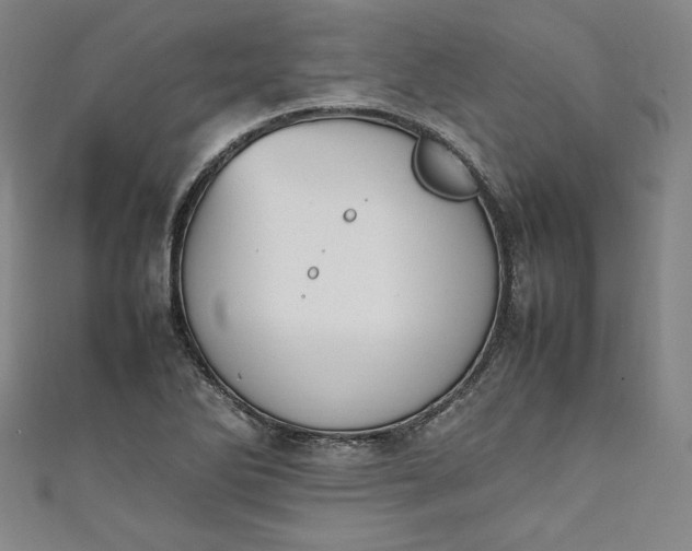 X0000111451270200907271223