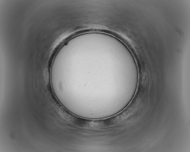 X0000111451271200907271223