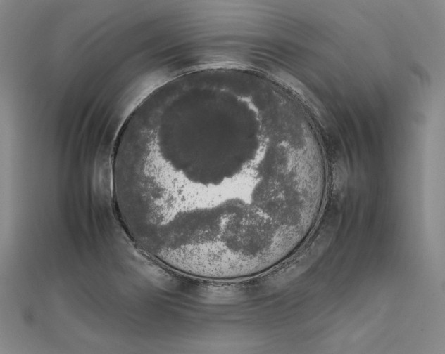 X0000111451274200907271223