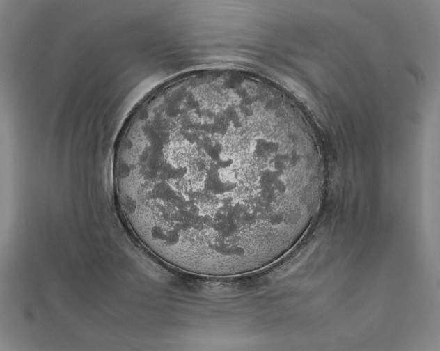 X0000111451275200907271223