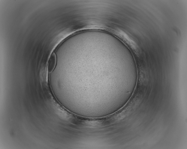 X0000111451276200907271223