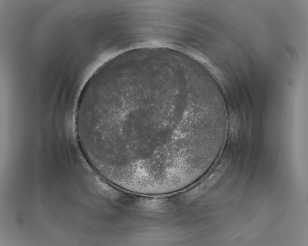 X0000111451278200907271223