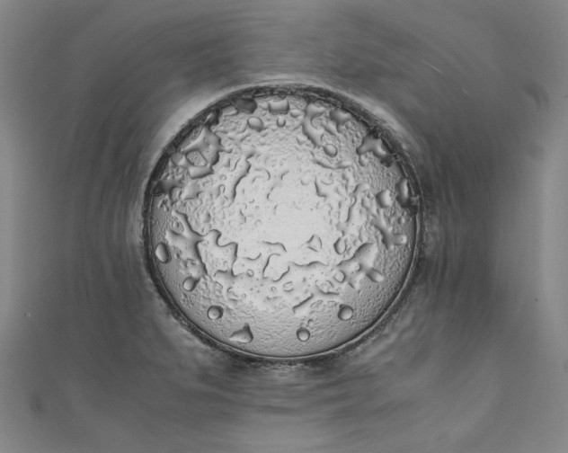 X0000111451279200907271223