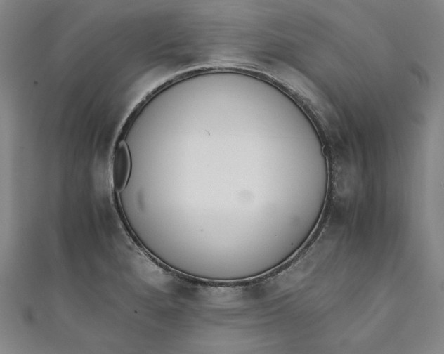X0000111451280200907271223