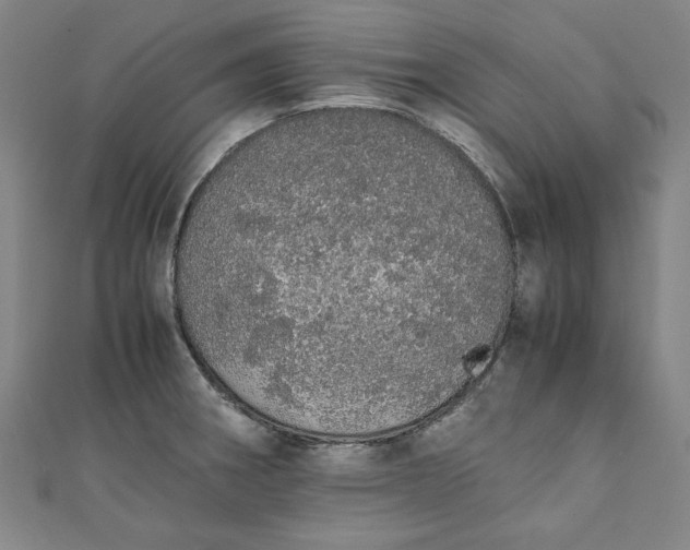 X0000111451282200907271223
