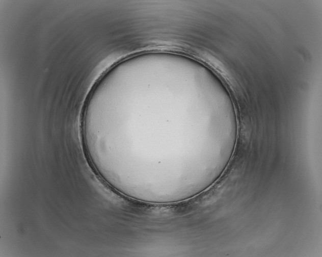 X0000111451283200907271223