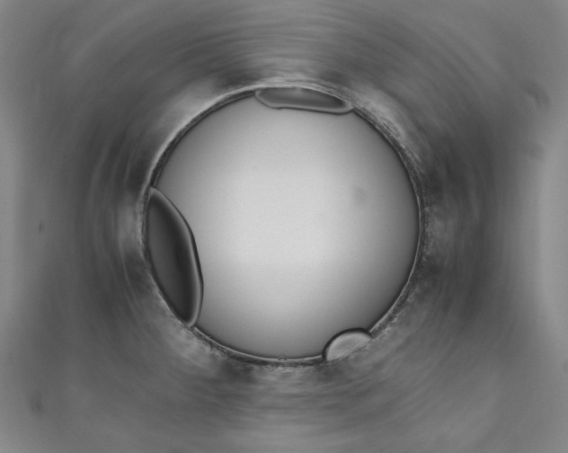 X0000111451284200907271223