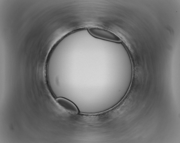 X0000111451285200907271223
