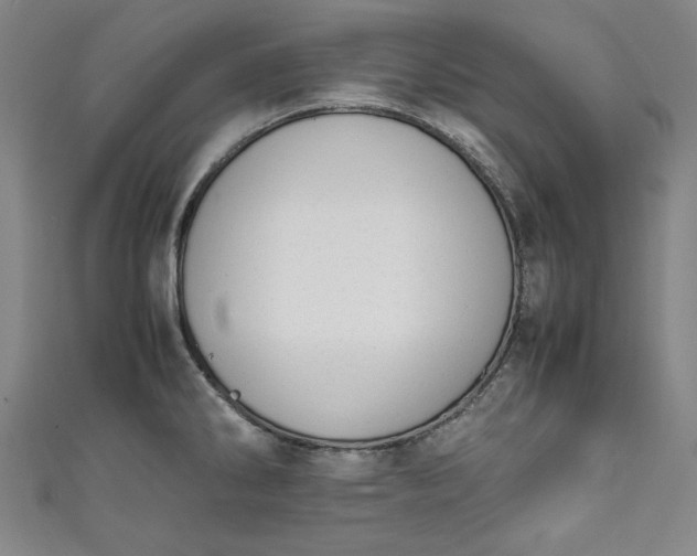 X0000111451286200907271223
