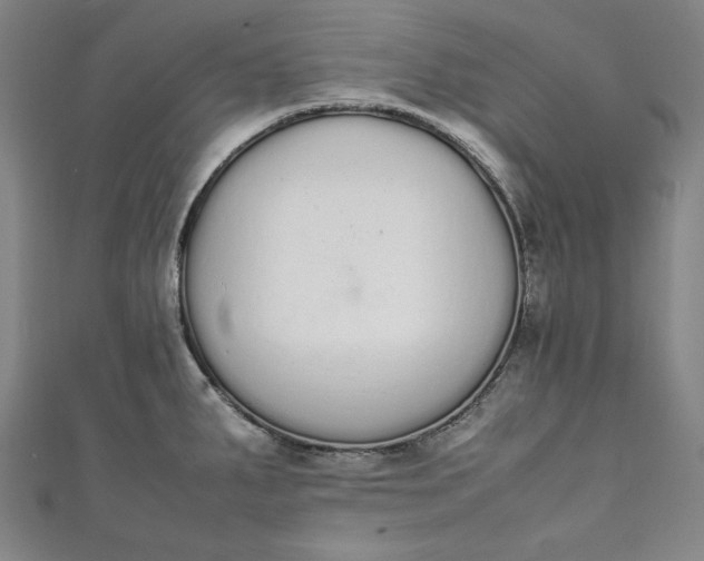X0000111451287200907271223