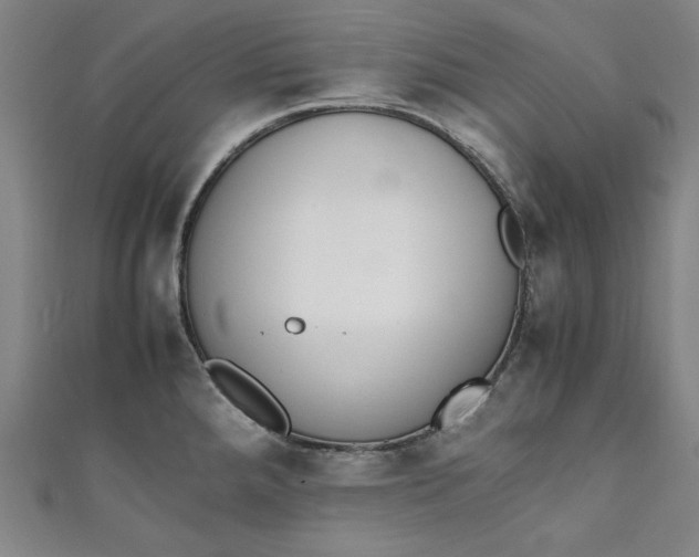 X0000111451288200907271223