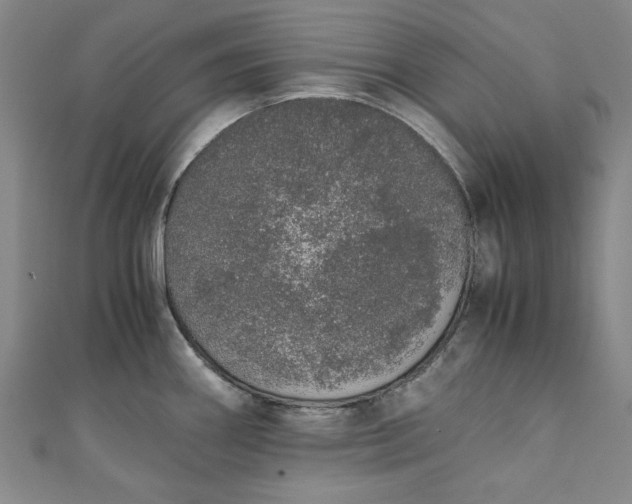 X0000111451290200907271223