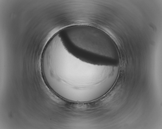 X0000111451291200907271223