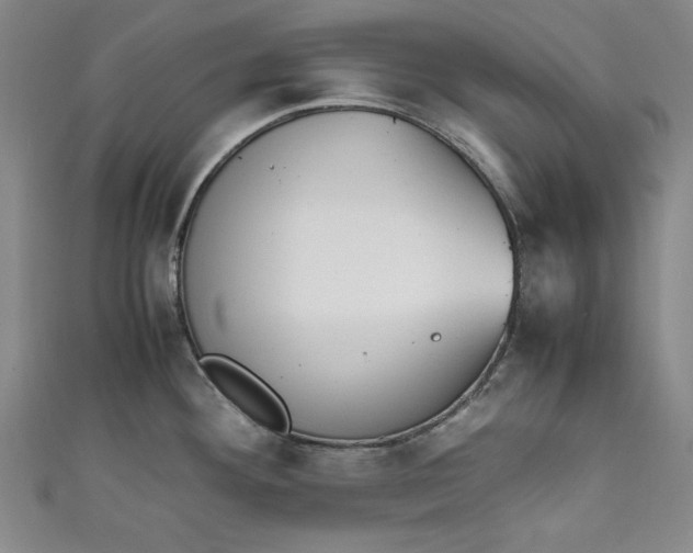 X0000111451292200907271223