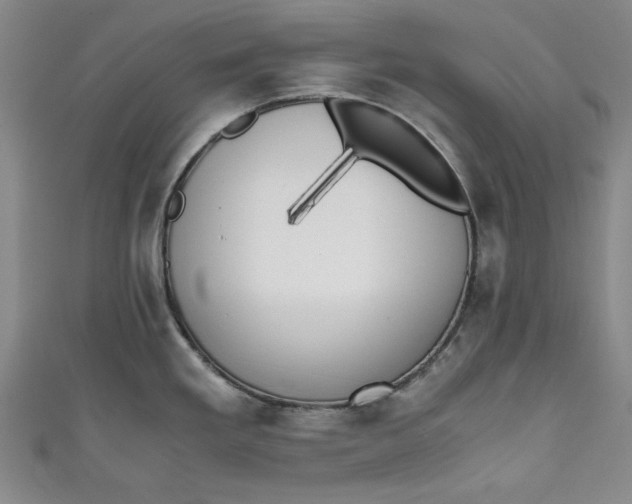 X0000111451293200907271223