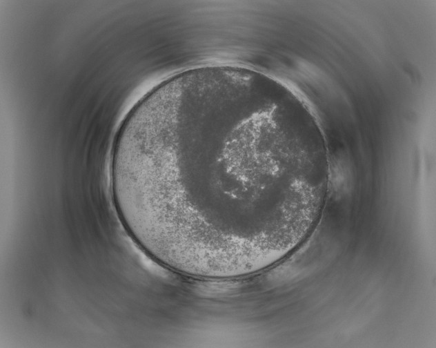X0000111451294200907271223