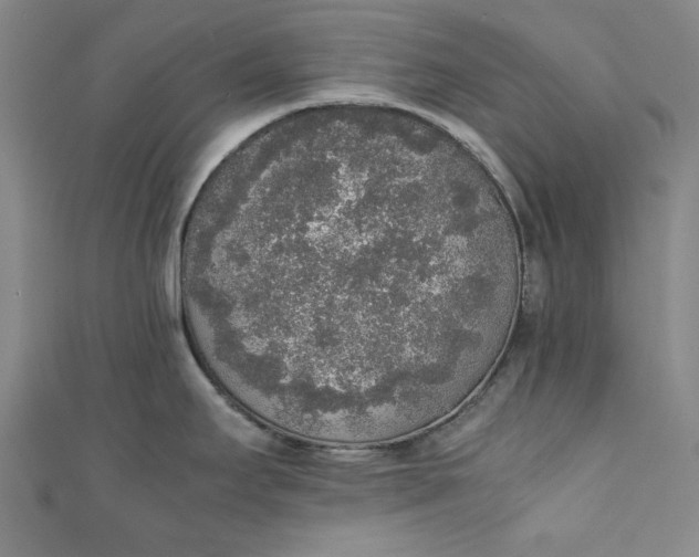 X0000111451295200907271223
