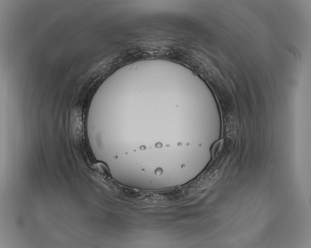 X0000111451298200907271222