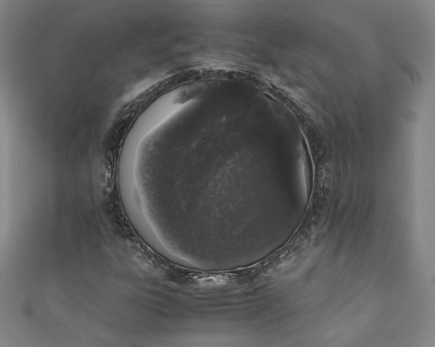 X0000111451303200907271222