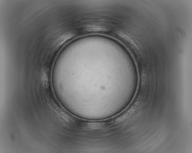 X0000111451305200907271222
