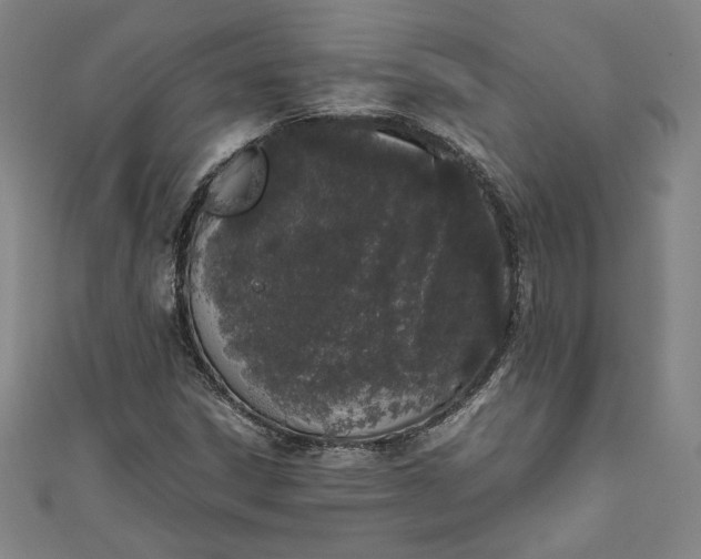 X0000111451306200907271222
