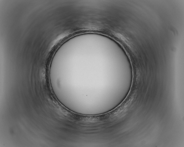 X0000111451307200907271222