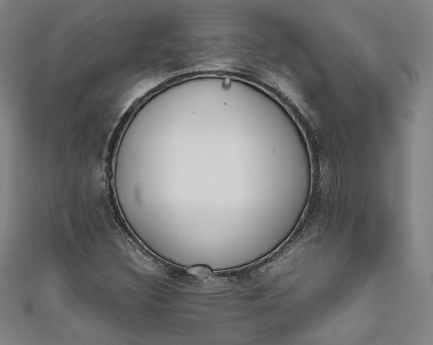 X0000111451308200907271222